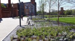 Photo for ProCon Award project: Mill Lane and The Gateway Public Realm Project, Leicester