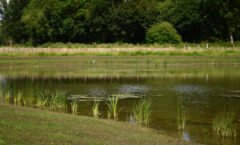 Photo for ProCon Award project: River Soar Flood Alleviation Scheme, Leicester