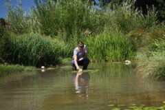 A photo of the SuDS at Birkett House School, Wigston ProCon Award finalist project