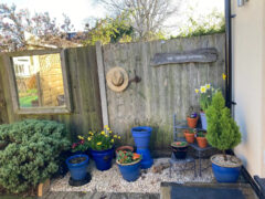 Photo for ProCon Award project: The Garden Cottage, Hinckley