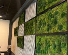 Photo for ProCon Award project: Phoenix Cinema and Art Centre expansion, Leicester