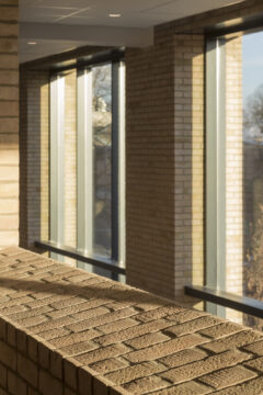 Photo for ProCon Award project: The Barn Amenities Building, The University of Nottingham